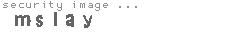 security image