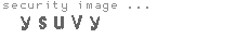 security image