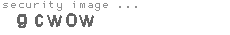 security image