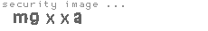 security image