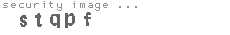 security image