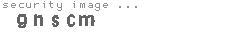 security image