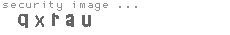 security image