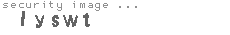 security image