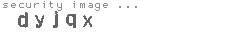 security image