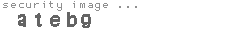 security image