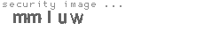 security image