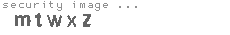 security image