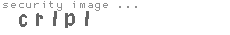 security image