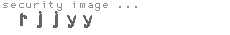 security image