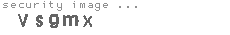 security image