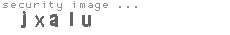 security image