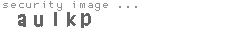 security image