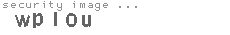 security image