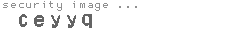 security image