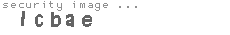 security image