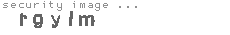 security image