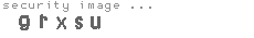 security image