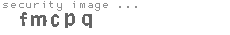 security image