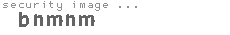 security image