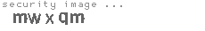 security image