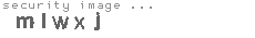 security image