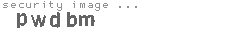 security image