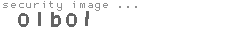 security image
