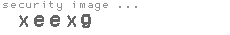 security image