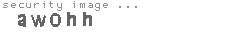 security image