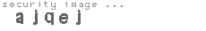 security image
