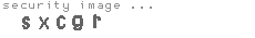 security image