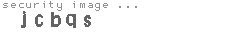 security image