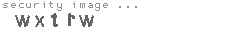 security image