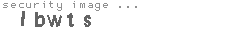 security image
