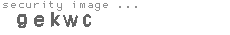 security image