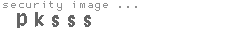 security image