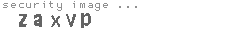 security image