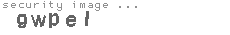 security image