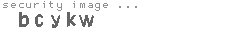 security image