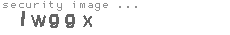security image