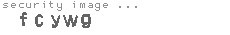security image