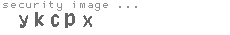 security image