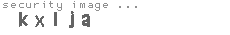 security image