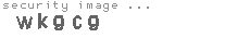 security image