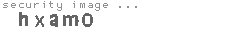 security image