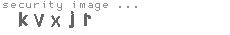 security image