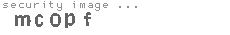 security image