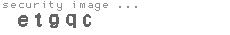 security image