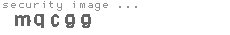 security image